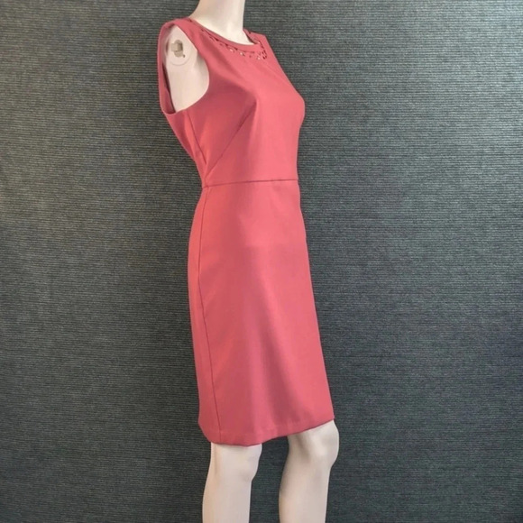 For Kitty Rescue! Loft Cutout Sheath Dress - Picture 2 of 13